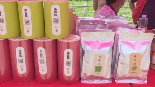 南嶺鎮消費扶貧展銷會圓滿落幕，農特產品及紡織品銷售成果顯著